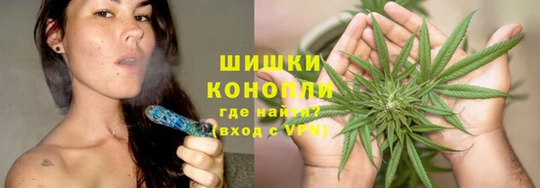 ПСИЛОЦИБИНОВЫЕ ГРИБЫ Михайлов