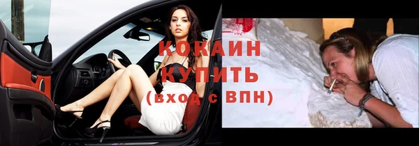 ПСИЛОЦИБИНОВЫЕ ГРИБЫ Михайлов