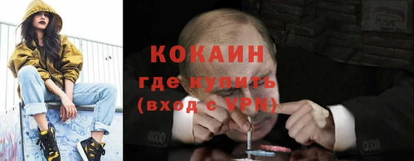 ПСИЛОЦИБИНОВЫЕ ГРИБЫ Михайлов