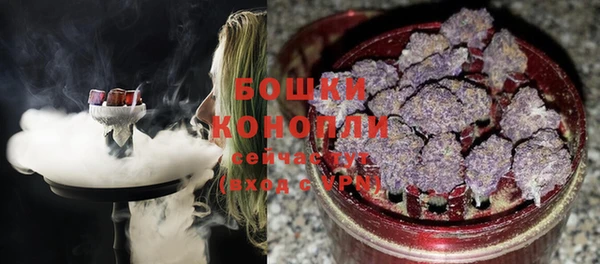 ПСИЛОЦИБИНОВЫЕ ГРИБЫ Михайлов
