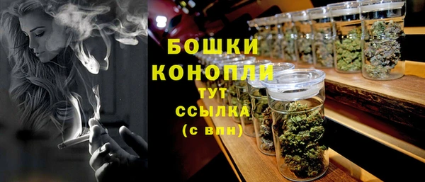 ПСИЛОЦИБИНОВЫЕ ГРИБЫ Михайлов