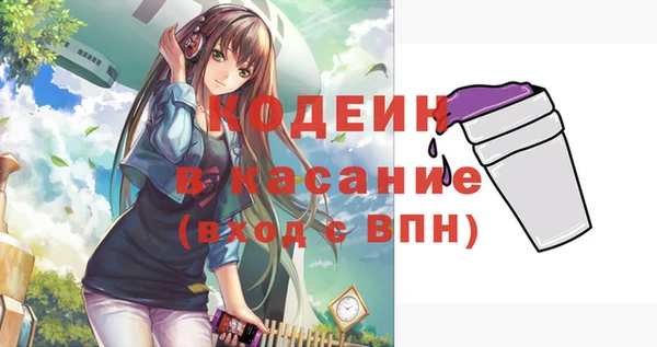 ПСИЛОЦИБИНОВЫЕ ГРИБЫ Михайлов