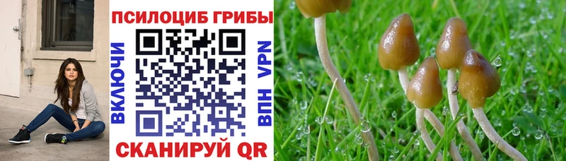 Галлюциногенные грибы MAGIC MUSHROOMS  Усть-Лабинск 